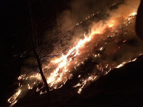 Ancora fuoco nell'imperiese, fiamme nella zona boschiva di Pietrabruna