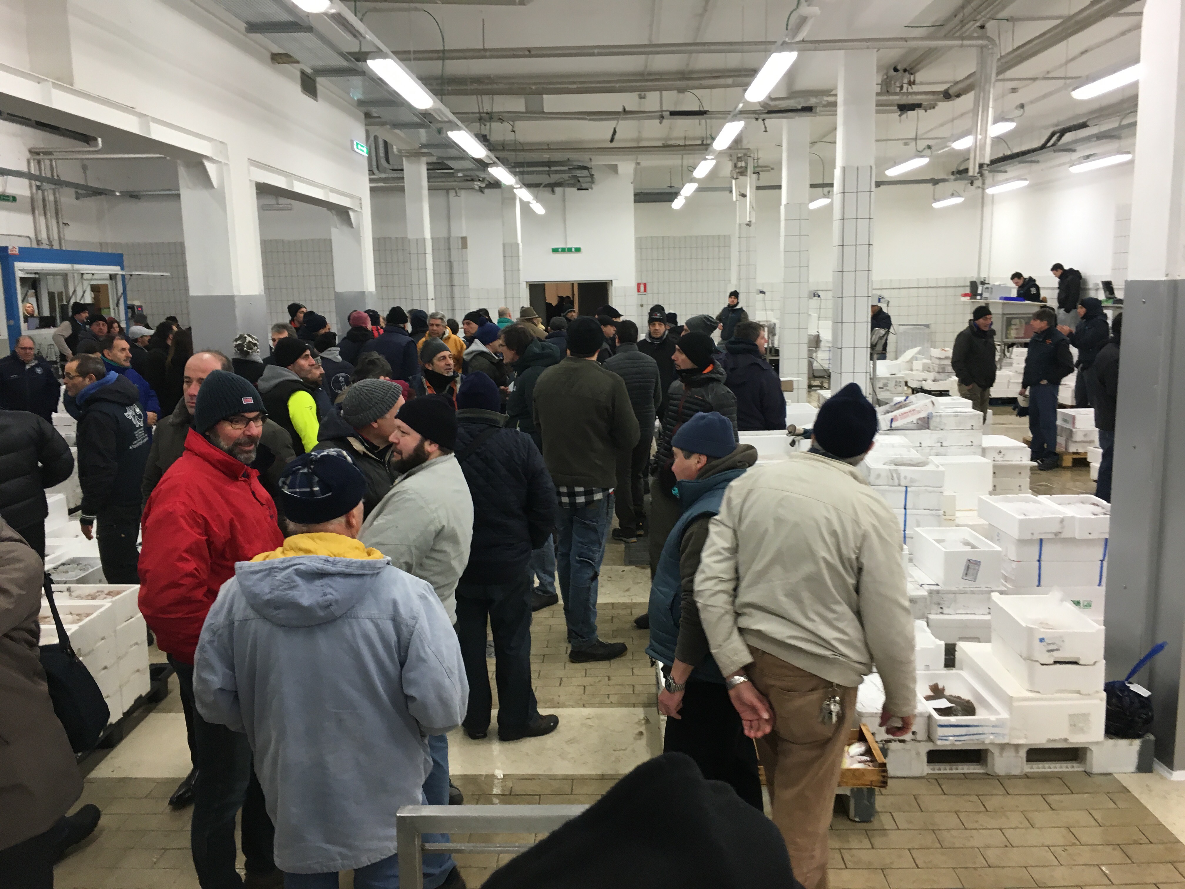 Cà de Pitta, buona la seconda: il mercato del pesce riparte