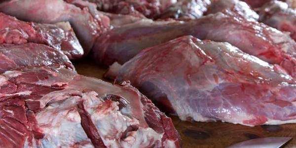 Carne con salmonella dal Brasile, carico bloccato a Genova nel 2016
