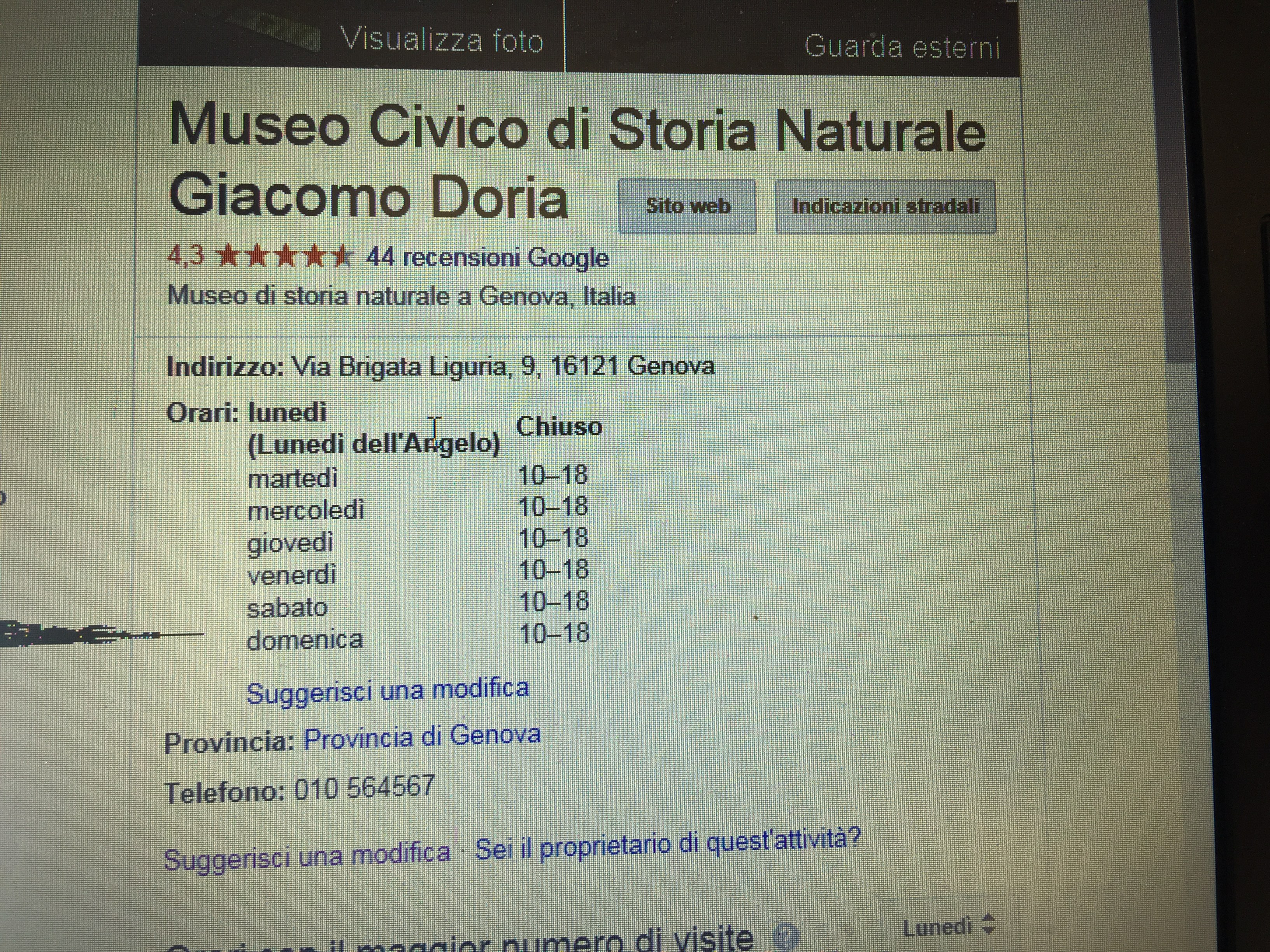 I dinosauri in allegra compagnia aspettano i turisti. Ma il sito dice che il museo è chiuso