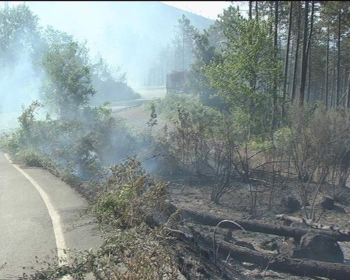 Incendi in Liguria: spento a Genova, fiamme a Bonassola e Isolabona