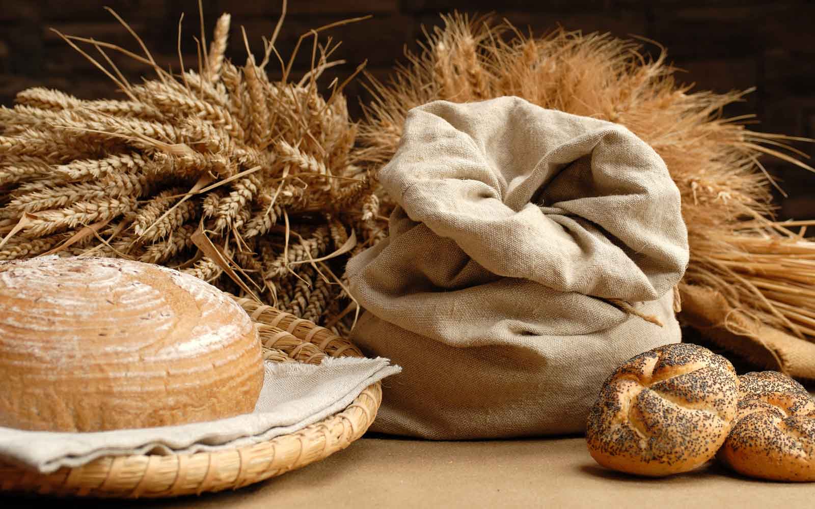 Escrementi di topi nella farina, chiusa panetteria a Vado