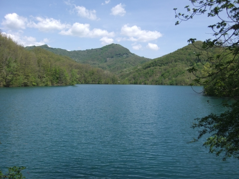Lago del Brugneto, Segale: 