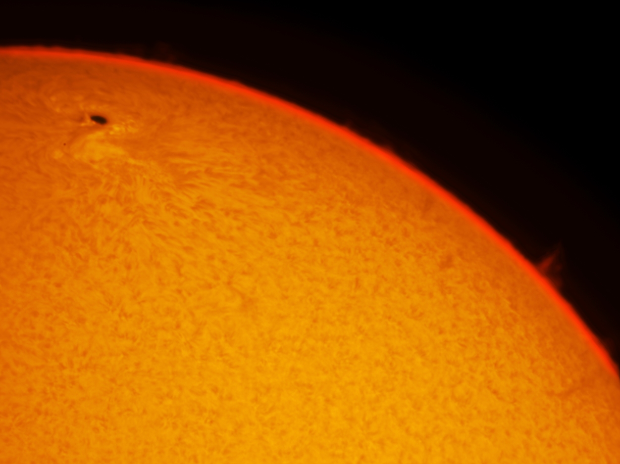 L'osservatorio astronomico del Righi fotografa la macchia solare in diretta