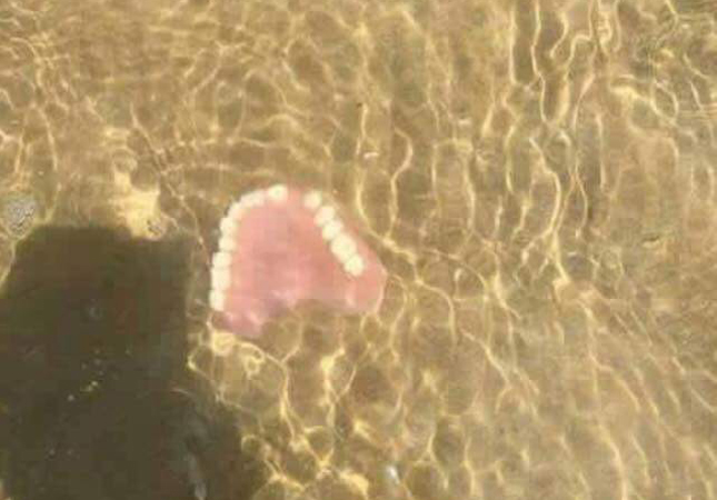 Bagnino trova una dentiera in mare: 