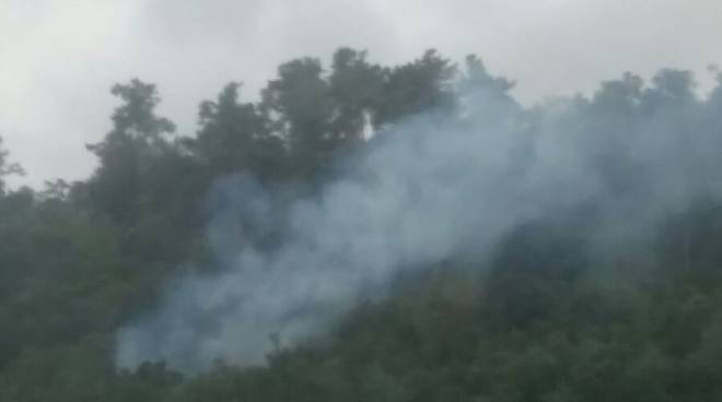 Incendi, due roghi boschivi nel savonese
