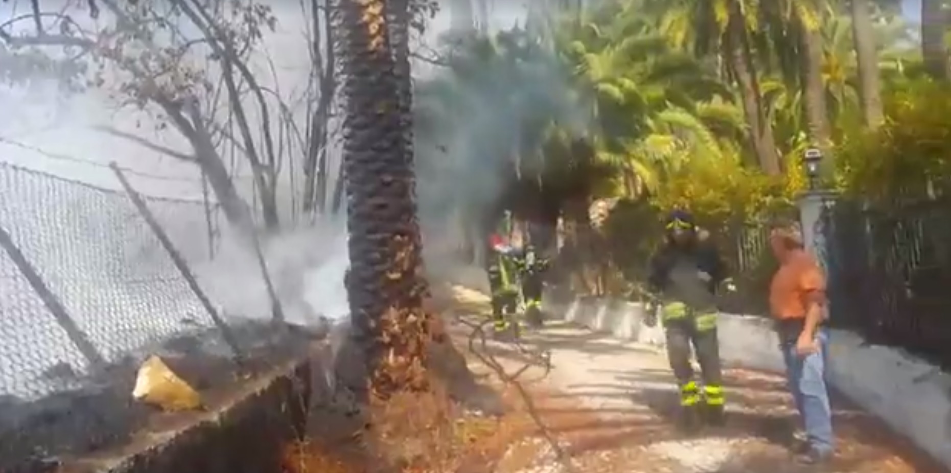 Incendio a Bordighera, a rischio il palmeto del giardino Winter