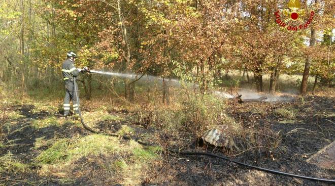 Incendio a Piani, 500 mq di sterpaglie in fiamme