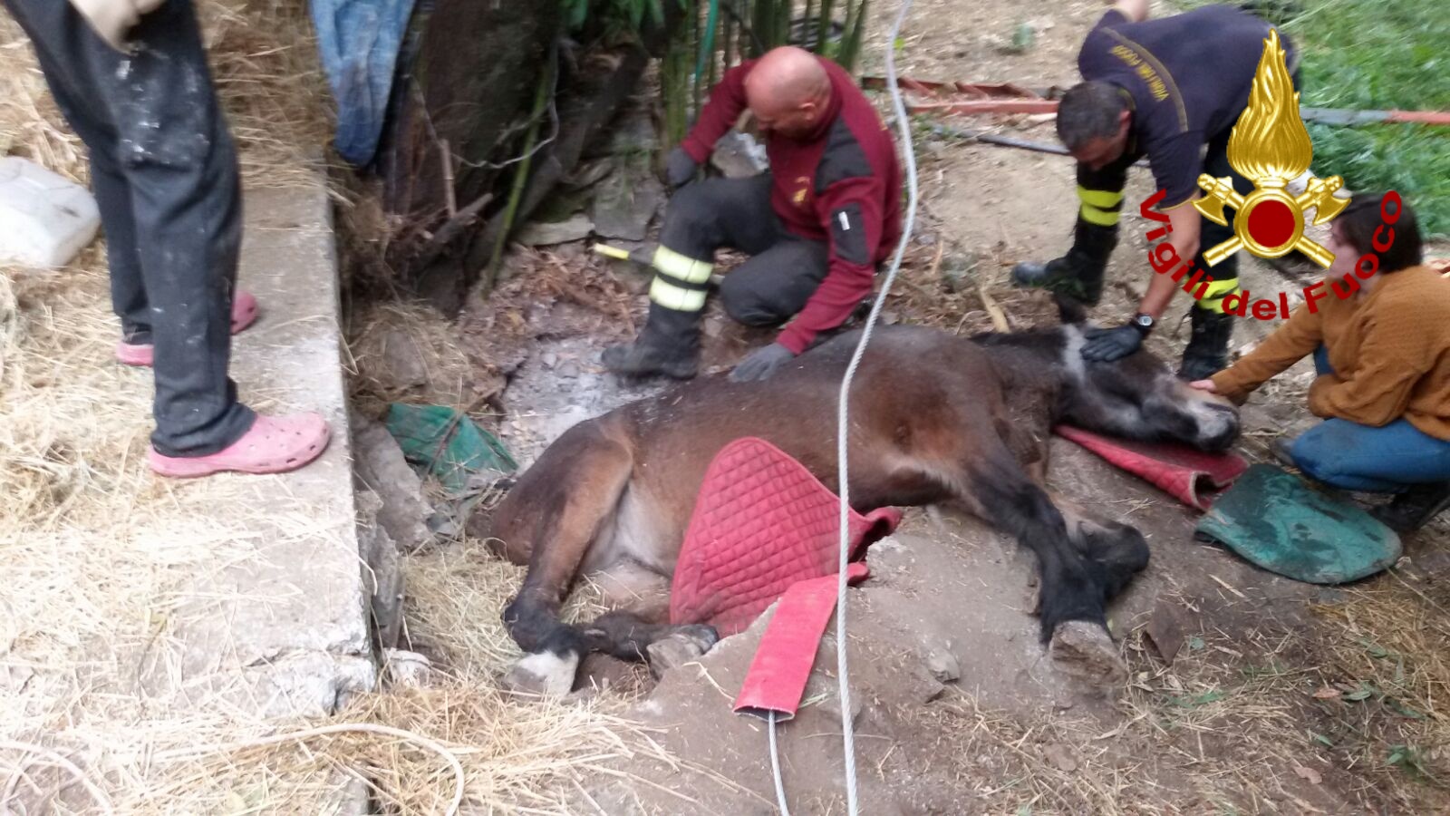 Struppa, cavallo cade in un canale: i soccorsi durano quattro ore