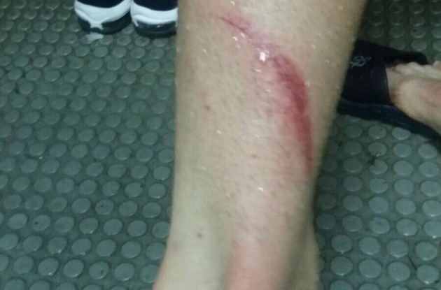 Genoa, Zukanovic: 