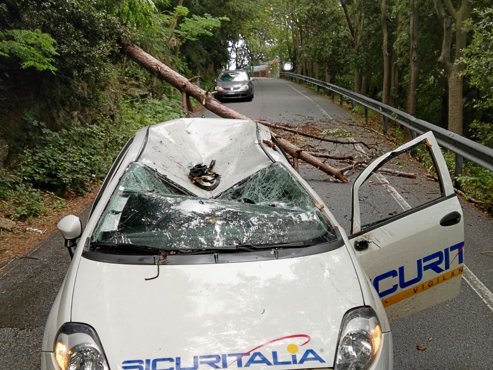 Tragedia sfiorata al Righi: albero cade sulla strada e distrugge una macchina di passaggio