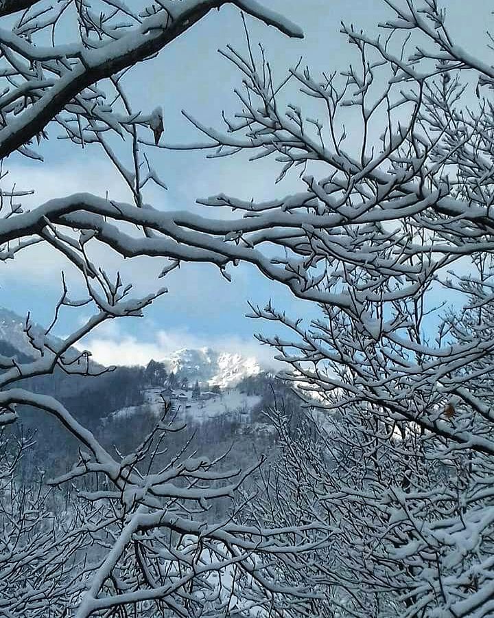 Liguria, nevicate nell'entroterra: le previsioni meteo per oggi