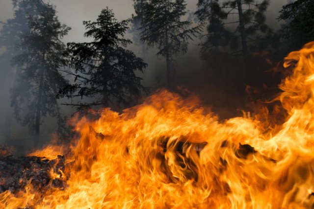 Rischio incendi boschivi, dal 20 marzo scattano i divieti in Regione