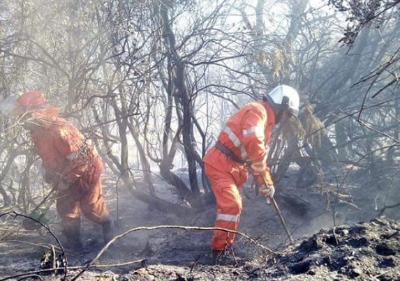 Incendio Cogoleto, riprendono a bruciare alcuni focolai