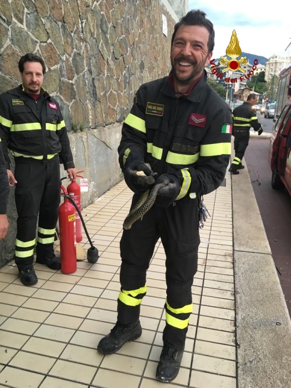 A passeggio in corso Italia a Genova, la gita fuori porta di una biscia