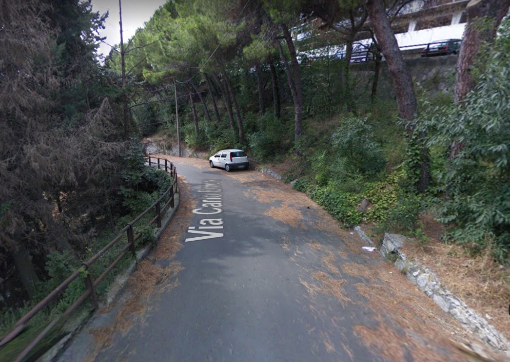 Pino marittimo pericolante a Genova, spostate 18 auto
