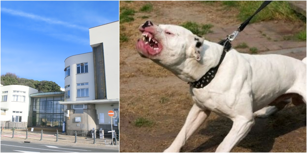 Genova, pitbull morde due volte una bambina di 6 anni