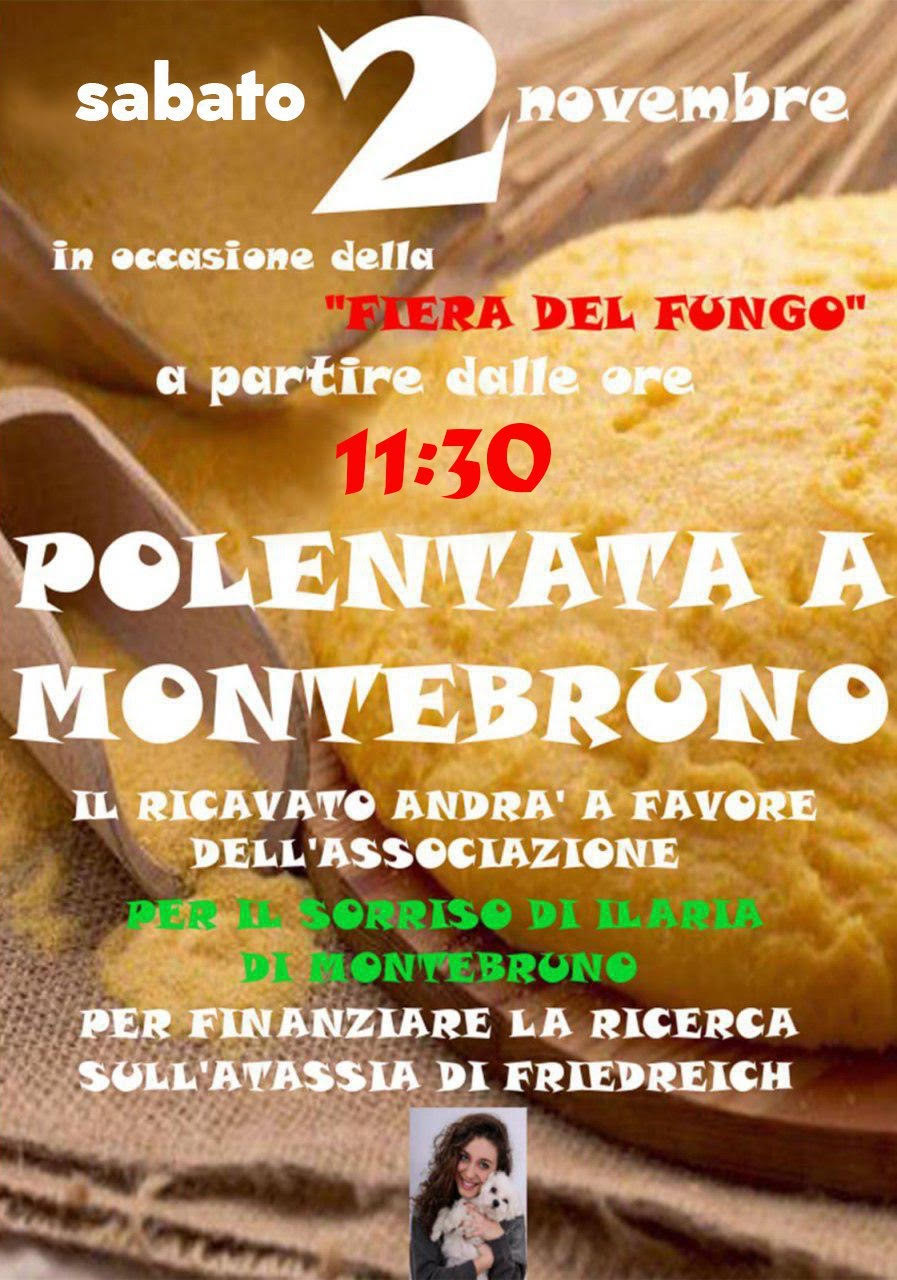 Fiera del fungo e polentata in favore dell'Associazione per il sorriso di Ilaria 