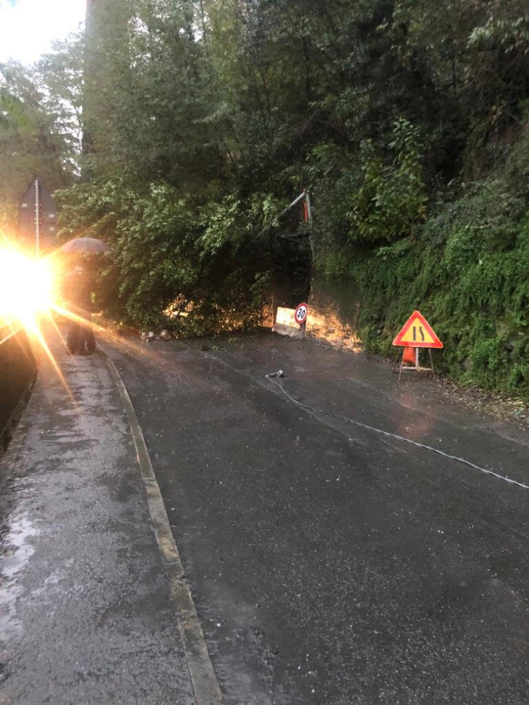Albero sulla provinciale di Santa Marta al confine con Pontedecimo: borgata non raggiungibile