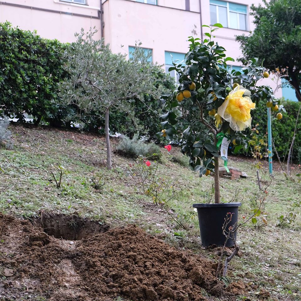 Al Gaslini arriva un orto didattico per i bambini ricoverati