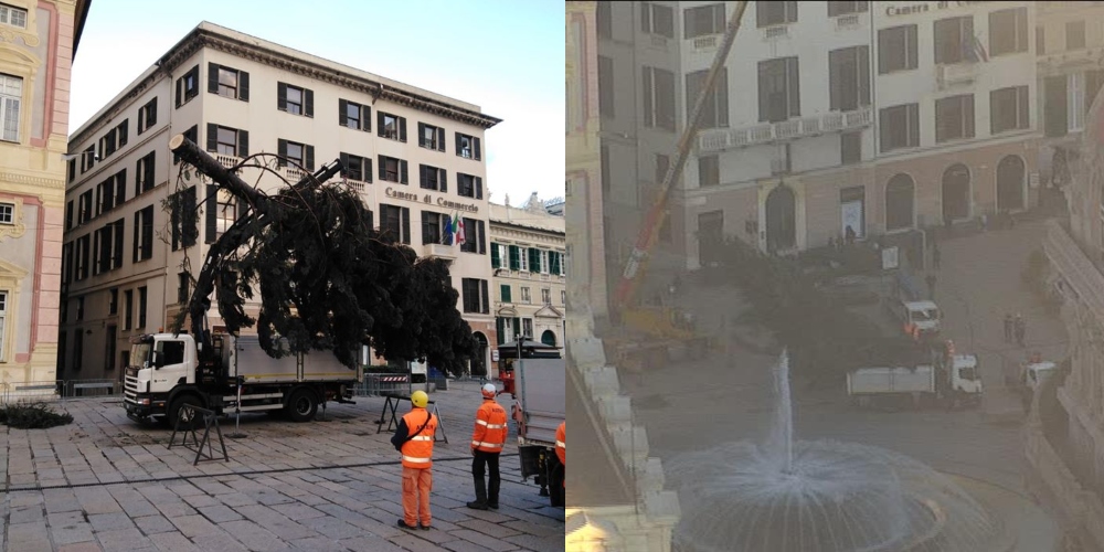 Operazione lampo, sostituito lo 'Spelacchio' genovese di piazza De Ferrari 