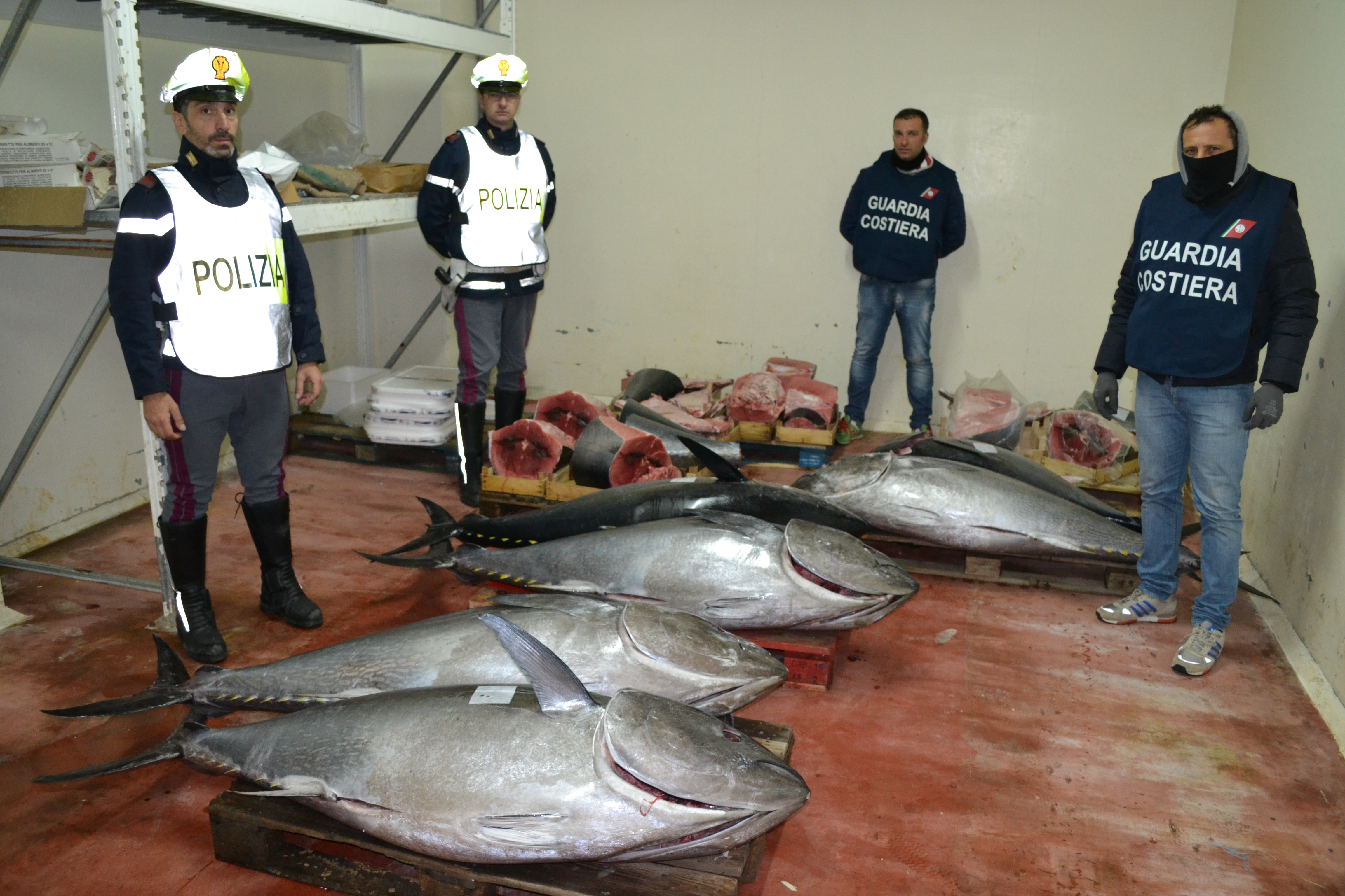 Tonni, branzini e strani molluschi: maxi sequestro della Guardia Costiera