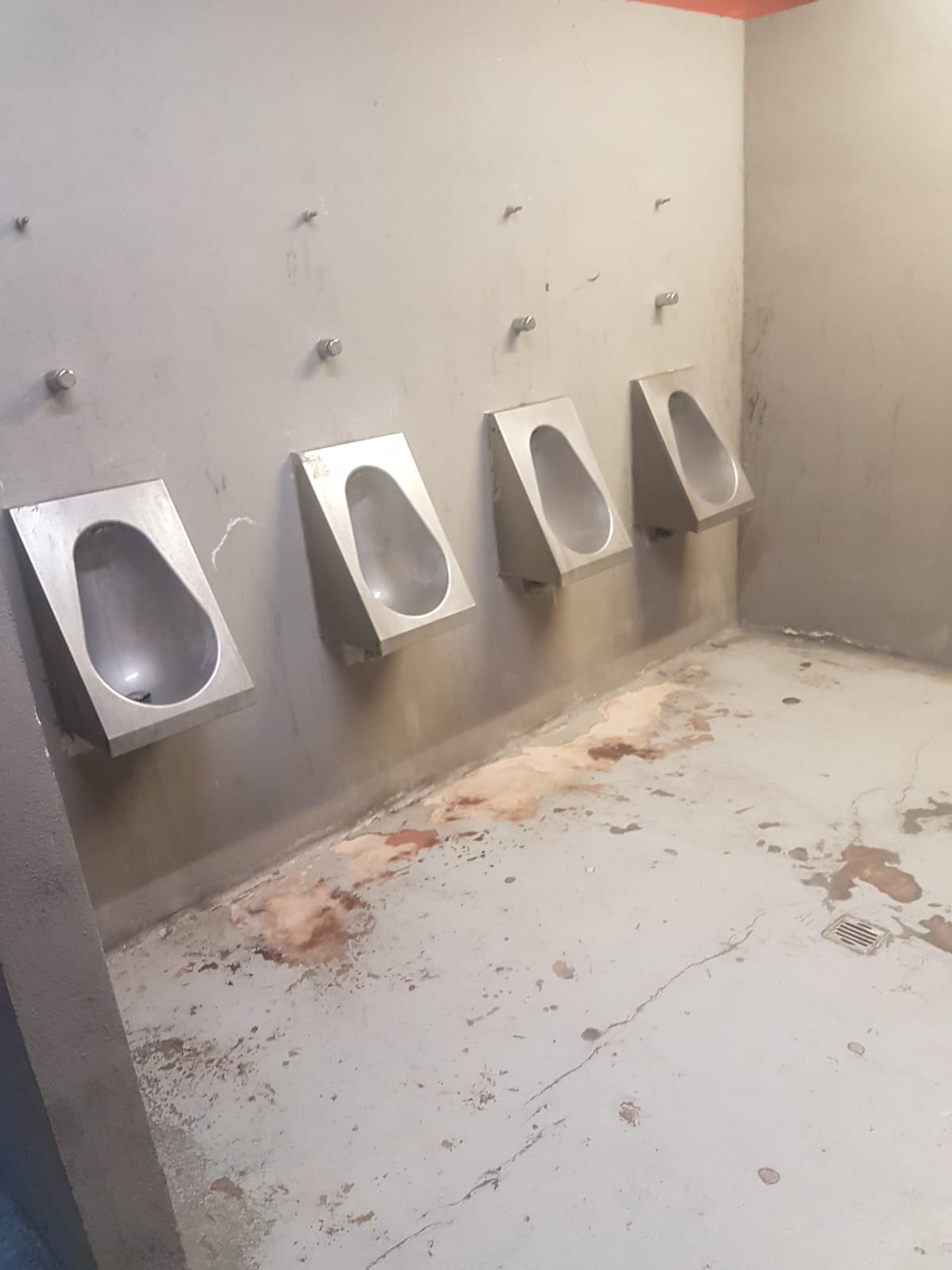 Caso bagni Ferraris, assessore Piciocchi: 