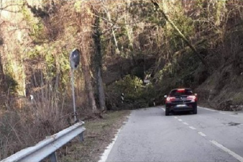Frana sulla statale 586 della Val d'Aveto: strada bloccata da un albero