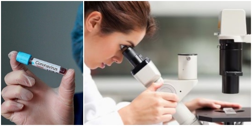 Coronavirus, a fine aprile al via i primi test del vaccino sull'uomo 