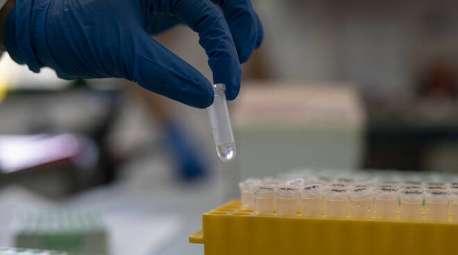 Coronavirus, in Liguria 14 nuovi casi positivi e altre 7 vittime in 24 ora