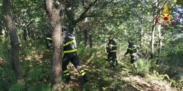 Cadavere nel bosco, forse è di un anziano scomparso dal 6 luglio