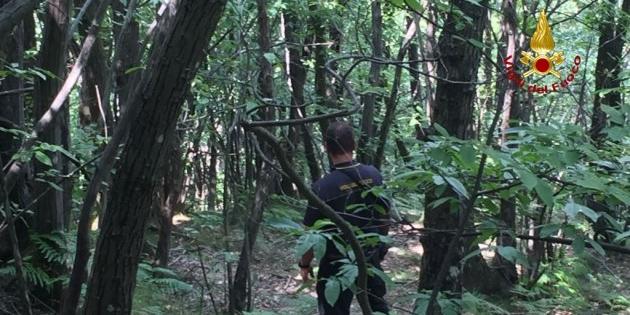 Fungaioli sentono gridare aiuto nel bosco, ricerche tutta la notte