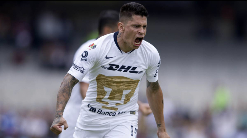 Spezia e mercato, Meluso: 