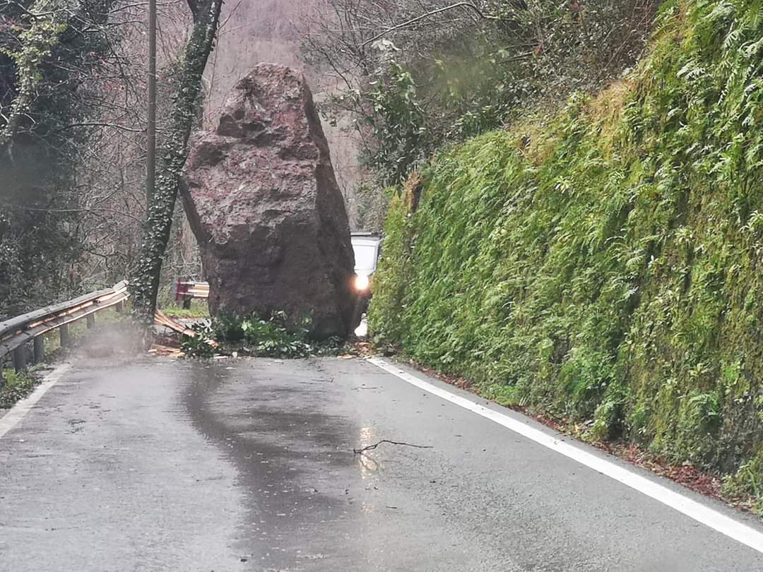 Maltempo, piogge diffuse in Liguria: frana e alberi caduti nel Tigullio. Chiusa strada nello spezzino