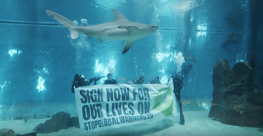 Clima, anche l'acquario di Genova contro il riscaldamento globale