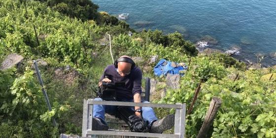 Covid: dalla Regione aiuti per 6 milioni alle imprese agricole liguri