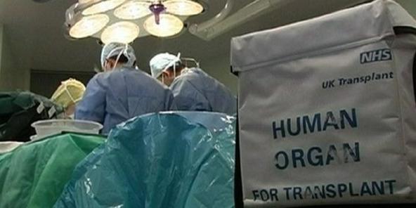 Giovane donna morta di emorragia cerebrale: donati gli organi