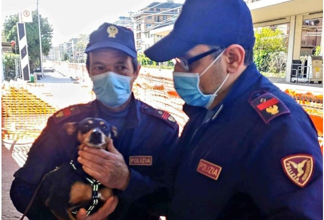 Chiavari, treni fermi per mezz'ora per salvare una cagnolina finita in galleria