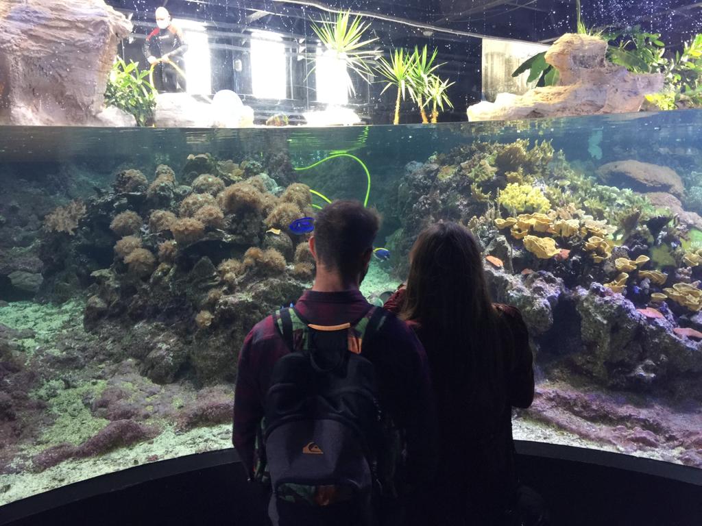 Primo weekend di riaperture, oltre 6mila visitatori all'Acquario di Genova