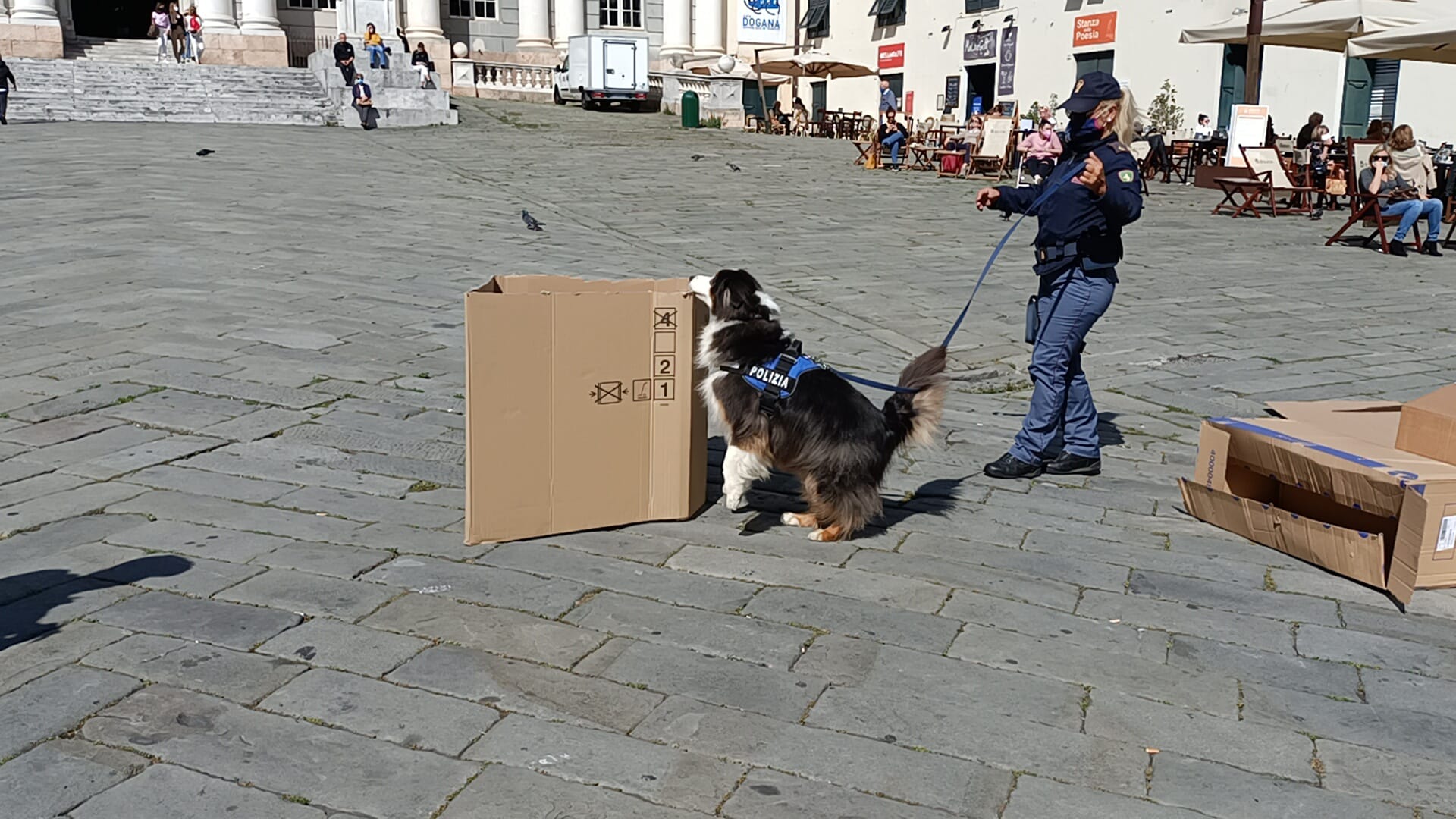 Giornata dei bambini scomparsi: la ricerca del cane della polizia nel centro di Genova