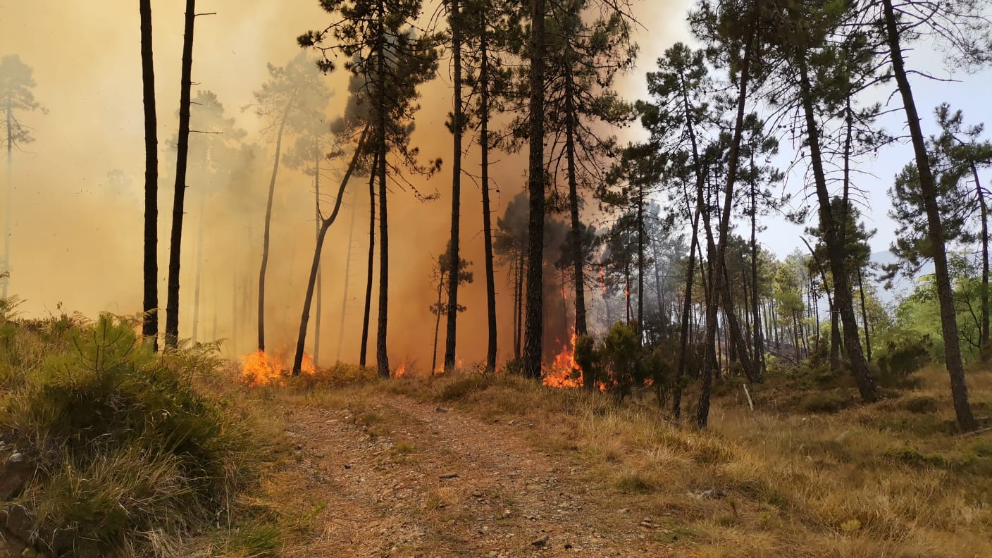 Incendio di Framura, le tre famiglie evacuate possono tornare a casa