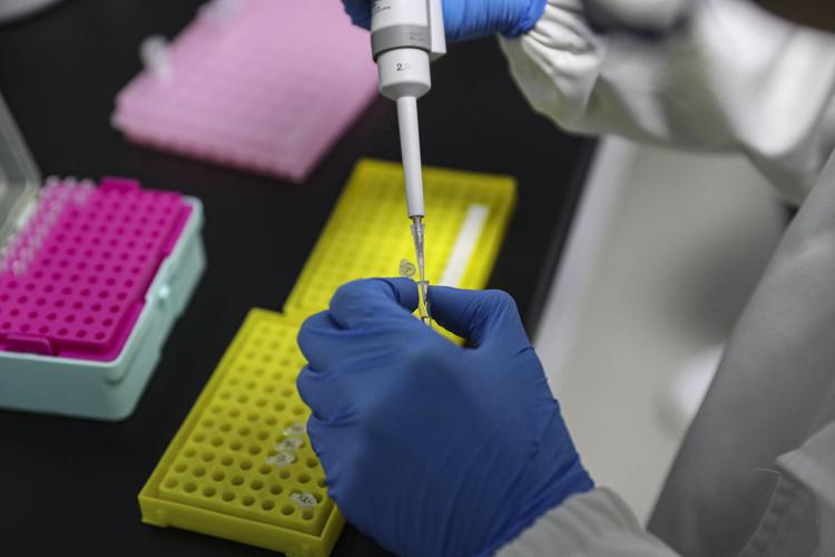 Coronavirus, Toti: 