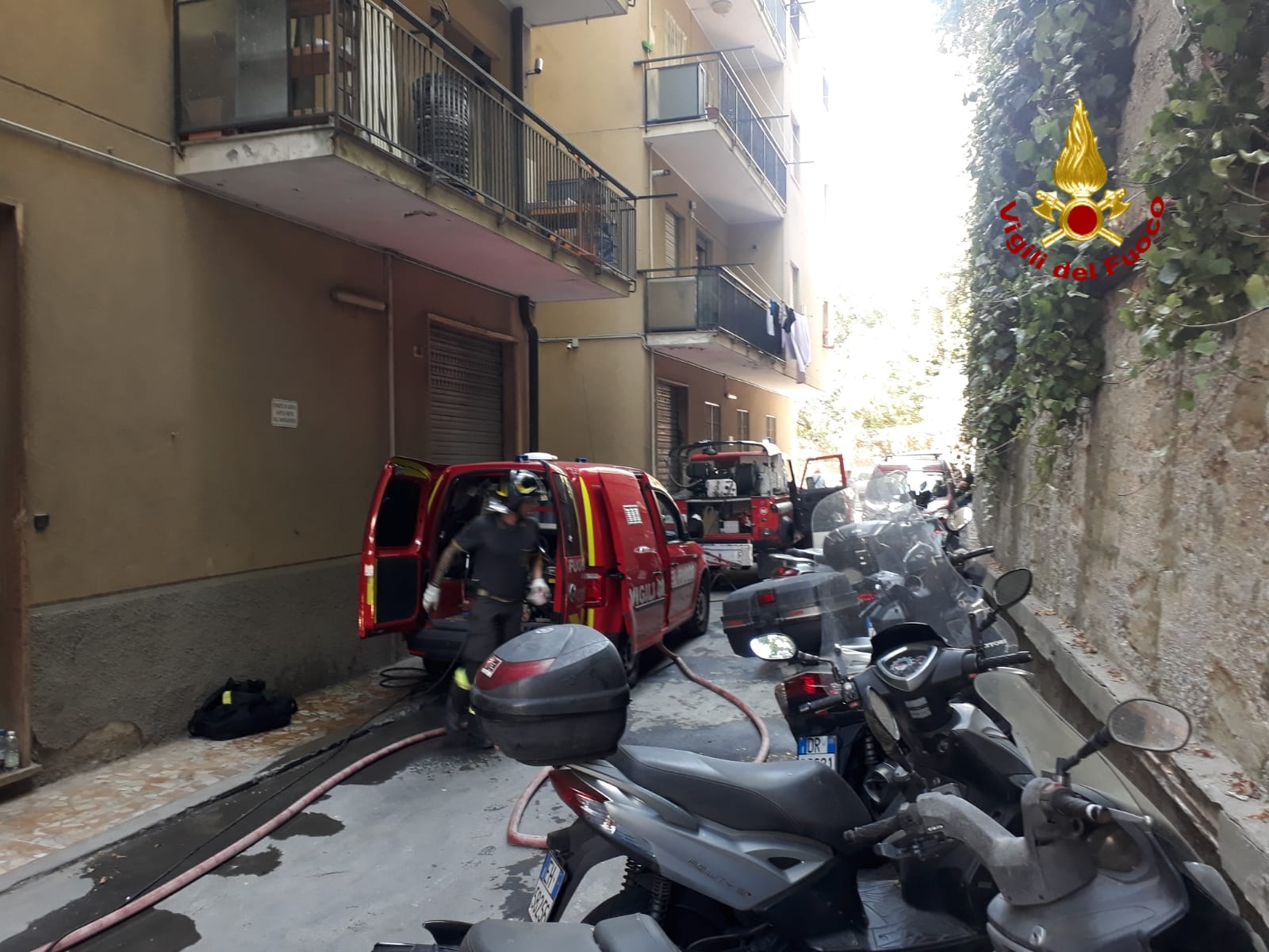 Genova, brucia casa: muore un gatto, salva la padrona e un altro felino