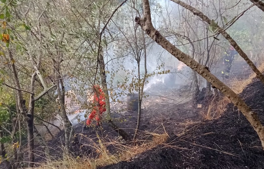 Scoppia un incendio nel comune di Avegno, sul posto i vigili del fuoco: situazione sotto controllo