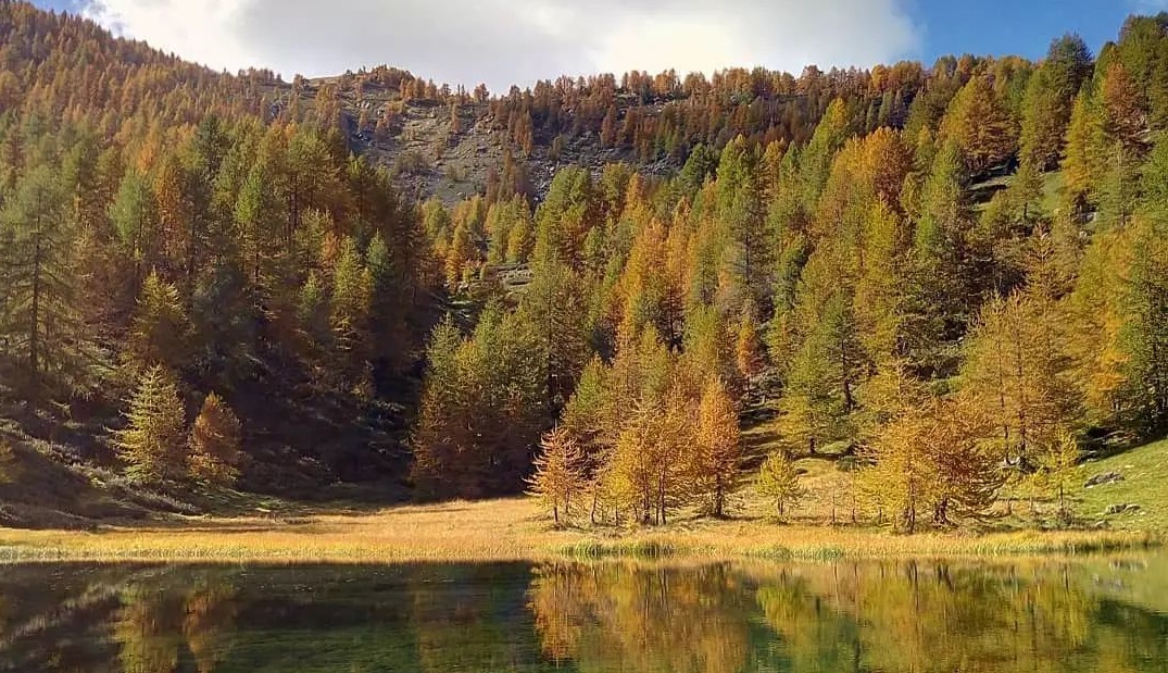 https://www.primocanale.it/materialiarchivio/immagininews/20211022200430-Alta_via_dei_monti_liguri_bosco_meteo_sole_autunno.jpg