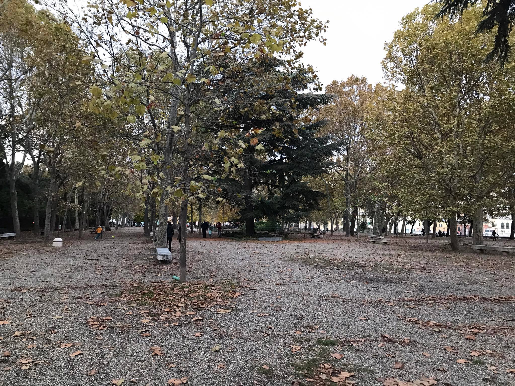 Genova: vento di burrasca, oggi e domani allerta, sopraelevata limitata, chiusi parchi e cimiteri